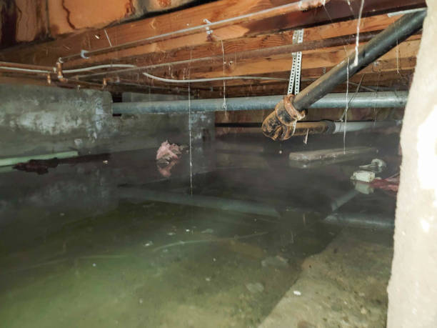 Local water damage restoration in West Haven, CT