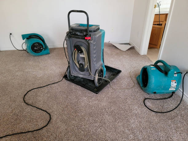 Water damage restoration experts in West Haven, CT