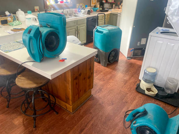 Best Water damage restoration cost  in West Haven, CT