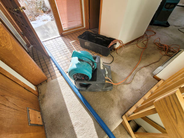 Best Commercial water damage restoration  in West Haven, CT