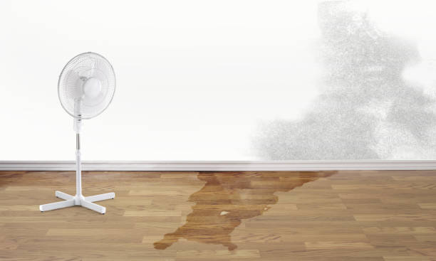 Best Flood restoration services  in West Haven, CT