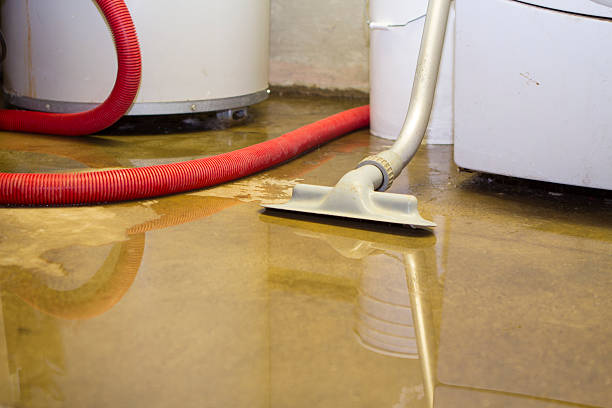 Best Water damage restoration near me  in West Haven, CT